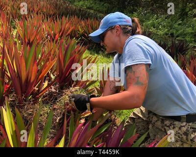 PELILIU, Palau (16 mars 2019) Opérateur de l'équipement 1re classe Serena Voigt tire les mauvaises herbes à une deuxième guerre mondiale Monument à Peleliu au cours de l'action citoyenne de l'aménagement paysager des équipes de maintenance. L'équipe d'action civique Palau offre des services communautaires de soutien à la construction de la nation hôte, assiste et forme des apprentis avec des compétences en ingénierie générale, un programme de sensibilisation médicale facilite et coordonne les programmes de relations communautaires. Hobby CAT fait partie intégrante de la mission des États-Unis d'aider et de soutenir le développement de la République des Palaos par des accords pris dans l'Accord de libre association entre les Banque D'Images