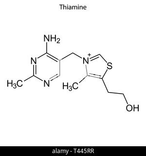 Formule topologique de la thiamine. La vitamine B1 molécule chimique. Illustration de Vecteur