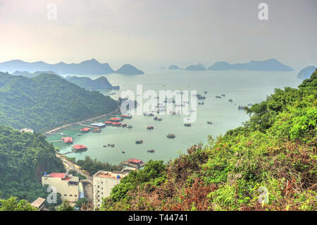 Ile de Cat Ba, au Vietnam Banque D'Images