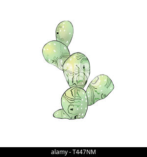 Cactus clip art dessin illustration numérique sur fond blanc Banque D'Images