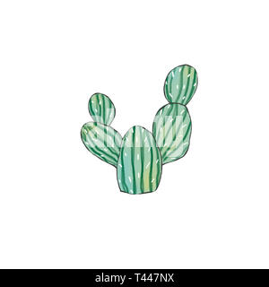 Cactus clip art dessin illustration numérique sur fond blanc Banque D'Images