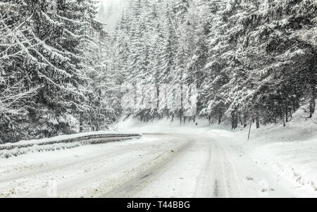 Route de la forêt couverte de neige pendant une tempête de blizzard, les arbres des deux côtés. Conditions de conduite dangereuses en hiver Banque D'Images