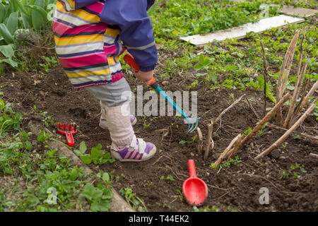 Petite fille explorer le jardin et aider avec le nettoyage de printemps. Banque D'Images