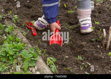 Petite fille explorer le jardin et aider avec le nettoyage de printemps. Banque D'Images