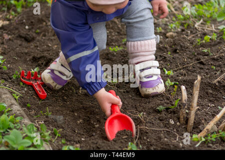 Petite fille explorer le jardin et aider avec le nettoyage de printemps. Banque D'Images