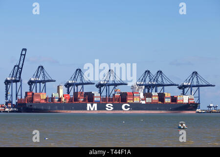 Porte-conteneurs MSC Reef amarré au terminal de la Trinité, port de Felixstowe, Suffolk, UK Banque D'Images