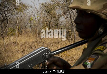 Des soldats nigériens se mettent en position avant d'attaquer un ennemi, nœud de commandement et de contrôle au cours de l'entraînement au Camp Po, le Burkina Faso, le 20 février, 2019, au cours de 19 à silex. Flintlock est un état annuel des opérations spéciales et l'exercice du ministère impliquant plus de 2 000 soldats, aviateurs, naval et de police des forces du pays 30. Les leçons tirées de l'Flintlock renforcer la sécurité mondiale, d'institutions multinationales favorisent le partage de l'information, et de développer l'interopérabilité entre les pays occidentaux et les pays partenaires en Amérique du Nord et en Afrique de l'Ouest. (L'Armée Banque D'Images