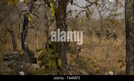 Des soldats nigériens se mettent en position avant d'attaquer un ennemi, nœud de commandement et de contrôle au cours de l'entraînement au Camp Po, le Burkina Faso, le 20 février, 2019, au cours de 19 à silex. Flintlock est un état annuel des opérations spéciales et l'exercice du ministère impliquant plus de 2 000 soldats, aviateurs, naval et de police des forces du pays 30. Les leçons tirées de l'Flintlock renforcer la sécurité mondiale, d'institutions multinationales favorisent le partage de l'information, et de développer l'interopérabilité entre les pays occidentaux et les pays partenaires en Amérique du Nord et en Afrique de l'Ouest. (L'Armée Banque D'Images