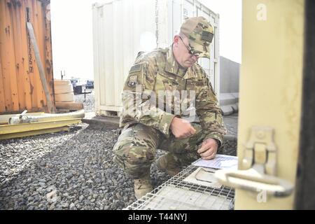 Le sergent-chef. Robert Rzasa, 380e Escadron de génie civil expéditionnaire sous-officier responsable de la gestion des ravageurs, des étiquettes un piège à la base aérienne d'Al Dhafra, aux Émirats arabes unis, le 18 février 2019. Par la puissance de travail d'équipe, les aviateurs et soldats de ADAB et Camp Arifjan, se sont réunis pour profiter de la qualité de vie de tous les membres du service, et même les animaux sauvages. Banque D'Images