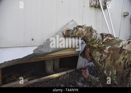 Le sergent-chef. Robert Rzasa, 380e Escadron de génie civil de la Force expéditionnaire du surintendant de la lutte antiparasitaire, les recherches de chats errants à la base aérienne d'Al Dhafra, aux Émirats arabes unis, le 18 février 2019. Pest Management aviateurs ont plusieurs capacités allant des bases de exempt d'organismes nuisibles qui pourraient transporter des maladies infectieuses débilitantes pour repousser les oiseaux d'aérodromes pour assurer la sécurité du décollage et atterrissages, protéger la santé et la sécurité de tous sur la base. Banque D'Images