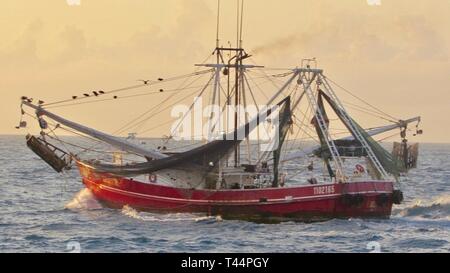 Sur la photo est le 83 pieds de bateau de pêche commercial, Dame Kristie, près de Tortugas Réserve écologique, le 21 février 2019. Vers 12 h 30 les garde-côte de Isaac Mayo (WPC-1112) L'équipage a détecté la Dame Kristie dans une zone protégée. La faucheuse Isaac Mayo montent à bord du navire de l'équipage et d'identifier les violations alléguées : une alarme d'eau inutilisable, un manque d'exercices en cours, la pêche à l'intérieur d'une réserve écologique et de remorquage dépassant leur restriction de temps de 75 minutes. Banque D'Images