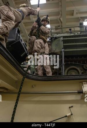 Mer Méditerranée, 10 févr. 22, 2019 - Les Marines américains et les marins affectés à la 22e Marine Expeditionary Unit train sur une corde dans le véhicule inférieur de rangement à bord du San Antonio-classe de transport amphibie USS station d'Arlington (LPD -24), 22 février 2019. L'Arlington est de faire un déploiement prévu dans le cadre de la 22e MEU et le groupe amphibie Kearsarge, à l'appui d'opérations de sécurité maritime, d'intervention en cas de crise et le théâtre de la coopération en matière de sécurité, tout en offrant une présence navale et maritime. Banque D'Images