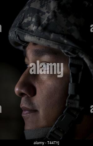 Un soldat de l'Armée américaine affecté à la 314e bataillon de renseignement militaire, San Diego, Californie, attend jusqu'à conduire son véhicule blindé-off d'une U.S. Air Force C-17 Globemaster III, affecté à la 729e Escadron de transport aérien, mars Air Reserve Base, en Californie, au cours de l'effort de Patriot Naval Air Station Cecil Field, en Floride, le 22 février 2019. Exercice Patriot Sands est une joint-service exercice coordonné par l'Air Force Reserve, conçus pour intégrer les premiers intervenants des gouvernements fédéral, de l'état, les organismes locaux et les militaires en fournissant une formation en intervention rapide en cas d'une urgence régionale ou natura Banque D'Images