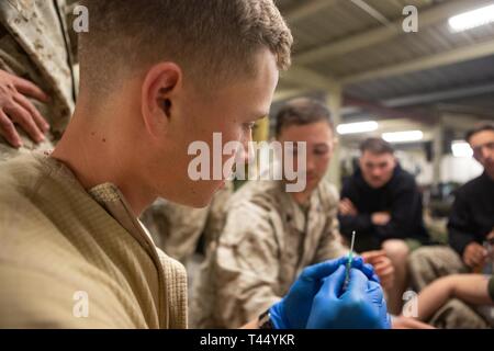 Le Corps des Marines des États-Unis. Ryan Davis inspecte une aiguille avant de procéder à donner une formation IV au Centre National d'entraînement, Fort Irwin, en Californie, le 24 février 2019. Les Marines américains avec 5e Naval Air Company, Liaison III Marine Expeditionary Force Information Group et la masse des soldats de la Force d'autodéfense du Japon avec 11ème Infantry pratiqué en donnant à chaque autre IVs d'améliorer leurs compétences médicales. Davis, originaire de Wichita, Kansas, est un opérateur radio avec 1ère Brigade, 5ème ANGLICO. Banque D'Images