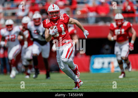 Lincoln, NE. USA. 13 avr, 2019. Kade Warner # 81 en action pendant la vs rouge blanc de printemps jeu de football au Memorial Stadium de Lincoln, NE.Red a remporté 24-13.Participation : 85 946. Credit : Cal Sport Media/Alamy Live News Banque D'Images