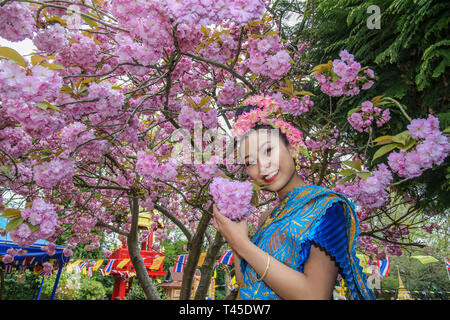 Wimbledon, Royaume-Uni. 14 avr, 2019. La communauté thaïlandaise de London célèbrent cette année le festival de Songkran, au temple thaïlandais à Wimbledon , le festival a également connu sous le nom de la nouvelle année bouddhiste .Songkran est souvent désigné comme le plus grand combat de l'eau dans le monde.La maison de vacances est traditionnellement marquée par des membres de la famille en visite et verser de l'eau sur les statues de Bouddha.Avec un marché traditionnel thaïlandais, Thai Food et danse thaïlandaise, le temple a été visité par des milliers de personnes qui viennent profiter ,mais sans les étudier de l'eau à n'importe qui près de crédit : Paul/Quezada-Neiman Alamy Live News Banque D'Images