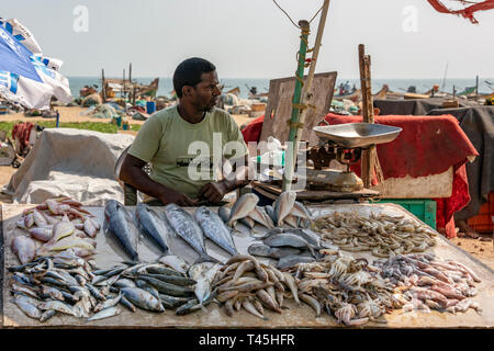 Portrait d'un homme horizontal à la vente du poisson au marché de poissons de Marina Beach à Chennai, Inde. Banque D'Images