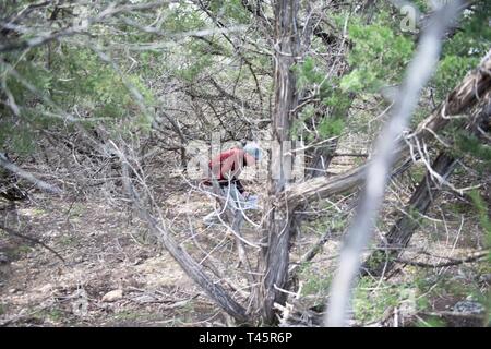 L'équipe de recherche 2-Charlie effectue une recherche d'une personne disparue dans une zone rurale, le 7 mars 2019, à Joint Base San Antonio-Camp Bullis. Les membres de l'équipe était composée de personnes de la communauté, les membres du bureau du shérif du comté de Bexar et le personnel de la Base aérienne 502d'aile. Banque D'Images