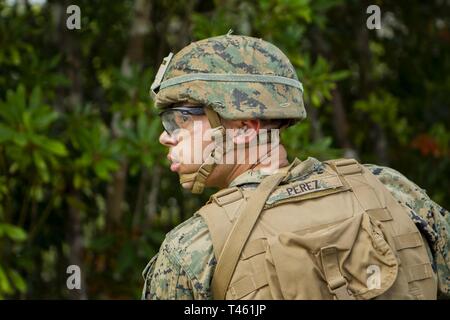 Lance le Cpl. Jonathan Perez, un carabinier avec la Compagnie Charlie, l'Équipe de débarquement du bataillon, 1er Bataillon, 4ème Marines, est titulaire de la sécurité pendant la formation d'attaque de peloton au Camp Schwab, Okinawa, Japon, le 28 février 2019. Perez, originaire de Tampa, en Floride, a obtenu son diplôme de Riverview High School en mai 2015 avant de s'enrôler en janvier 2016. Au cours de la formation, les Marines avec la compagnie Charlie amélioré leur capacité "à localiser, fermer avec et détruire l'ennemi par le feu et la manœuvre, ou repousser l'agression de l'ennemi par le feu et de close combat," la mission de la Marine Corps peloton. La Compagnie Charlie marines sont l'airbo Banque D'Images