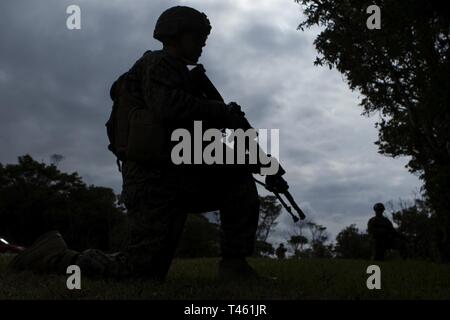 Lance le Cpl. Jonathan Perez, un carabinier avec la Compagnie Charlie, l'Équipe de débarquement du bataillon, 1er Bataillon, 4ème Marines, est titulaire de la sécurité pendant la formation d'attaque de peloton au Camp Schwab, Okinawa, Japon, le 28 février 2019. Perez, originaire de Tampa, en Floride, a obtenu son diplôme de Riverview High School en mai 2015 avant de s'enrôler en janvier 2016. Au cours de la formation, les Marines avec la compagnie Charlie amélioré leur capacité "à localiser, fermer avec et détruire l'ennemi par le feu et la manœuvre, ou repousser l'agression de l'ennemi par le feu et de close combat," la mission de la Marine Corps peloton. La Compagnie Charlie marines sont l'airbo Banque D'Images