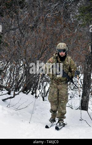 Cours de chefs de 19-004 par temps froid le long du sentier de ski étudiants hippie à la guerre dans le nord du centre de formation Site de formation de Black Rapids pendant les 10 kilomètres, 12 mars 2019 biathlon. Le froid des trains Cours de chefs de peloton escouade- et les dirigeants de niveau dans les connaissances et les compétences nécessaires pour mener à bien les opérations de petites unités dans le froid, la neige-couvertes de l'environnement. L'accent est mis sur les effets du froid sur le personnel et le matériel de base, l'utilisation de vêtements pour temps froid et de l'équipement, de l'artisanat champ d'hiver, raquette et technique de ski et d'hiver dans les régions froides ou la navigation et la planification d'itinéraire Banque D'Images