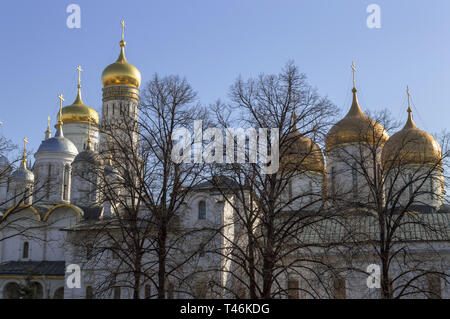 Arbres devant la cathédrale de l'intérieur de complexes Kremlin le jour de printemps ensoleillé Banque D'Images