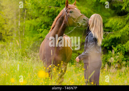 Femme blonde dans un pré l'embrassant cheval arabe Banque D'Images