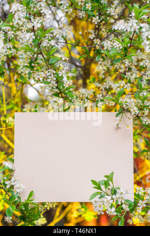 Vierge du papier entre les branches de cerisier en fleurs. Banque D'Images