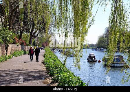 La Tamise à Richmond riverside sur sur une journée de printemps ensoleillée, Surrey England UK Banque D'Images