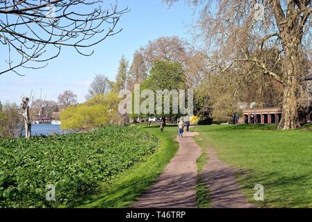 La Tamise à Richmond riverside sur sur une journée de printemps ensoleillée, Surrey England UK Banque D'Images