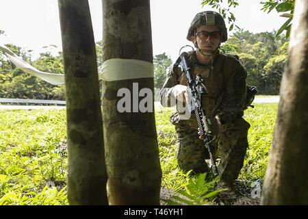 Lance le Cpl. Stuart Corboy, un carabinier avec l'Équipe de débarquement du bataillon, 1er Bataillon, 4ème Marines, détient une garantie au cours d'une gamme de tir réel dans le cadre de la 31e Marine Expeditionary Unit's expéditionnaire simulé des opérations de la base avancée, Camp Schwab, Okinawa, Japon, le 13 mars 2019. Corboy, originaire de Chicago, est diplômé de l'école secondaire New Trier en juin 2017 avant d'obtenir le même mois. Marines avec la 31e MEU effectuent des EABO simulées dans une série d'événements de formation dynamique pour affiner leur capacité de planifier, de répéter et de remplir diverses missions. Au cours de la 31e, EABO MEU associé wi Banque D'Images