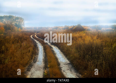 Matin brumeux près du village de Boldino, Russie. Bolshoe L'endroit où le grand poète russe Pouchkine créé des poèmes. Banque D'Images