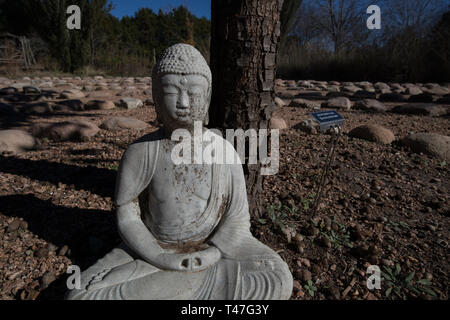 Une statue du Bouddha méditant dans un jardin zen d'inspiration japonaise à Austin, Texas Banque D'Images