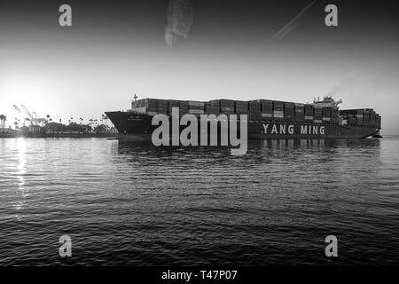 Photo en noir et blanc du navire porte-conteneurs géant YANG MING, YM UNANIMITÉ, entrant dans le canal principal de Los Angeles, à destination du port de Los Angeles Banque D'Images