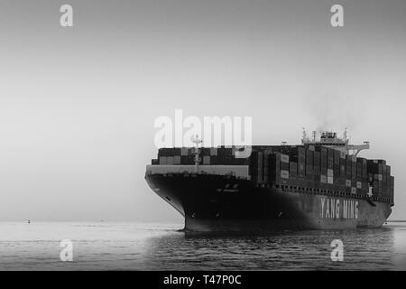 Photo en noir et blanc du navire porte-conteneurs géant YANG MING, YM UNANIMITÉ, naviguant vers le port de Los Angeles, Californie, États-Unis Banque D'Images