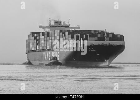 Photo en noir et blanc du porte-conteneurs, YM UNANIMITÉ, entrant dans le canal principal de Los Angeles, naviguant vers le terminal à conteneurs de Los Angeles, États-Unis Banque D'Images