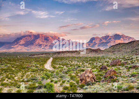 Les montagnes Chiso au lever du soleil, vue de l'album Spring Road, Big Bend National Park, Texas, États-Unis Banque D'Images