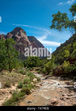 Virgin River traverse Zion Canyon, Zion National Park, Utah, USA Banque D'Images