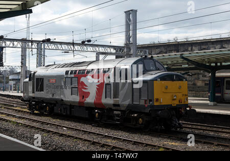 '37884' Céphée à Carlisle Banque D'Images