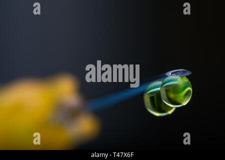 Photo macro d'une seringue avec aiguille gouttes de médicaments Banque D'Images