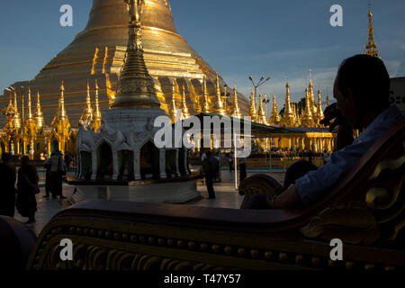 Yangon, Myanmar - 19 septembre 2016 : Contempler la pagode Shwedagon complex Banque D'Images