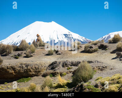 Une femme andine promenades à travers la campagne, avec le volcan Parinacota en arrière-plan. Parc naturel de Sajama, Altiplano bolivien, de l'Amer Banque D'Images