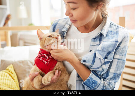 Cat Wearing Bandana Banque D'Images