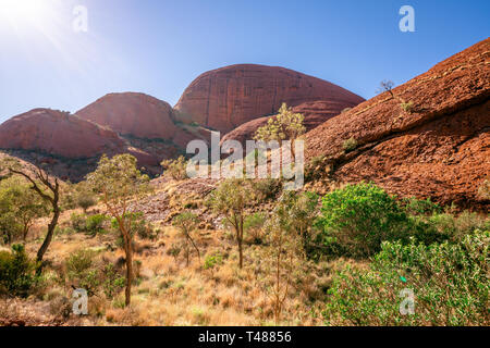 Panorama du paysage de la vigie dans la Karu Olgas dans NT outback Australie Banque D'Images