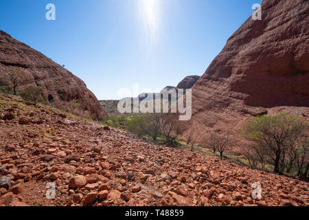 Panorama du paysage de la vigie dans la Karu Olgas dans NT outback Australie Banque D'Images