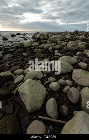 La plage de Boulder lors d'un coucher de soleil nuageux avec des roches couvertes d'algues vertes - Veczemju Klintis, Lettonie - Avril 13, 2019 Banque D'Images
