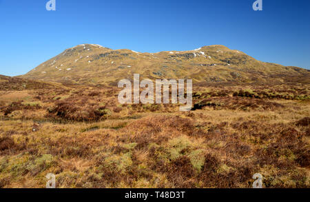 La montagne écossais Munro Meall Glas de près du sommet de la Corbett dans Imirean Beinn nan Glen Dochart, Highlands, Ecosse, Royaume-Uni. Banque D'Images