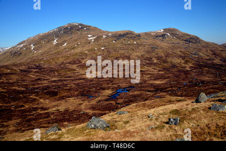 La montagne écossais Munro Meall Glas de près du sommet de la Corbett dans Imirean Beinn nan Glen Dochart, Highlands, Ecosse, Royaume-Uni. Banque D'Images