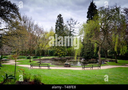 Denzell Jardins et chambre. Construit par Robert Scott, cette chambre à Bowden, Altrincham dispose d'un bassin d'agrément, des vignes, des orchidées, et un jardin en contrebas. Banque D'Images