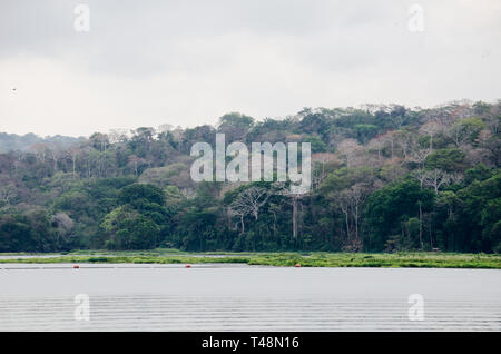 La rivière Chagres et le Parc National de Soberania dans la distance Banque D'Images